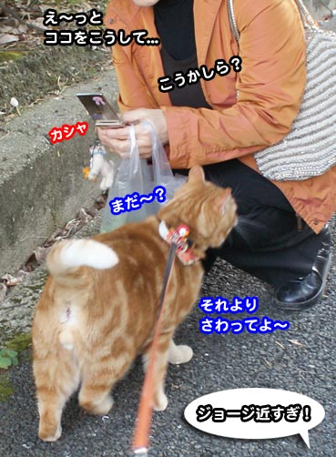 camera0242.jpg
