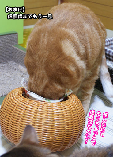 kago6786.jpg