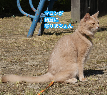 hage7427.jpg