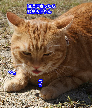 hage7433.jpg