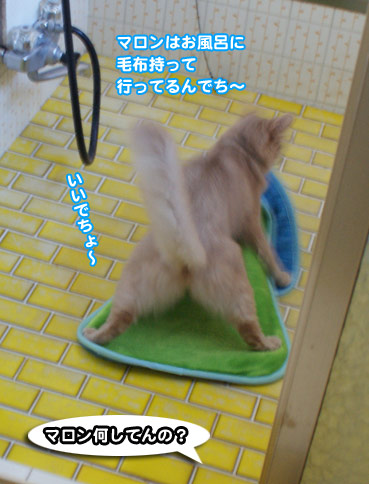moufu7743.jpg