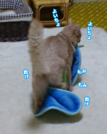 moufu7746.jpg