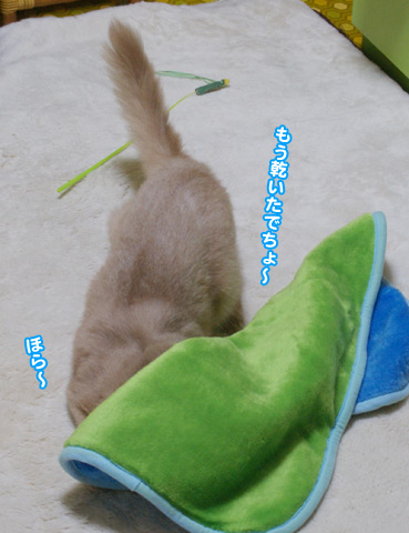 moufu7758.jpg