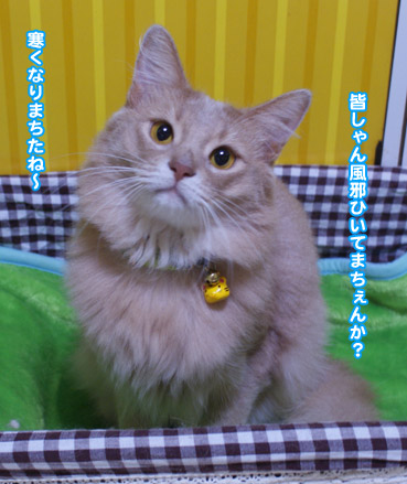 moufu7772.jpg