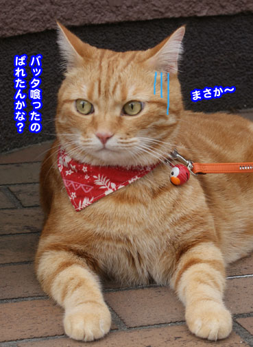 kusai7984.jpg