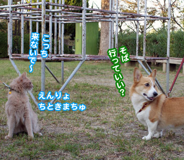 shipo0138.jpg
