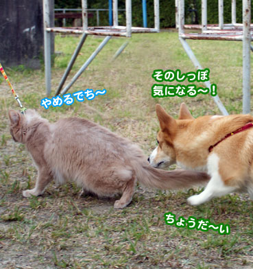 shipo0145.jpg