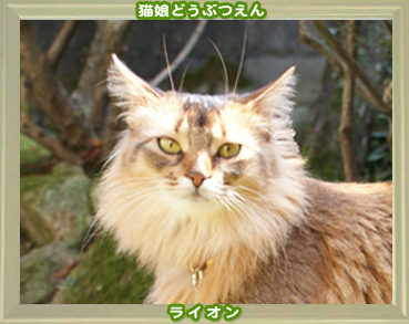 2011動物園1.jpg