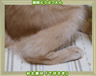 2011動物園8.jpg