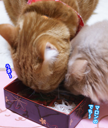 osechi2137.jpg