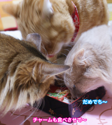 osechi2139.jpg
