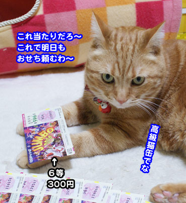 osechi2155.jpg