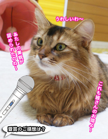 hide0407.jpg