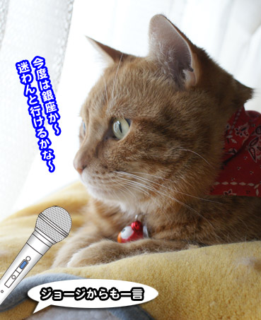 hide0469.jpg
