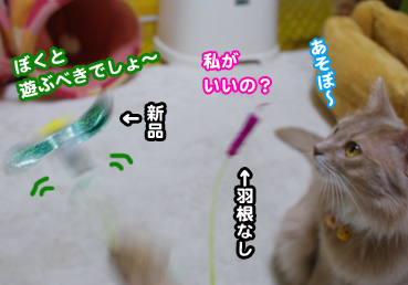 koware0942.jpg