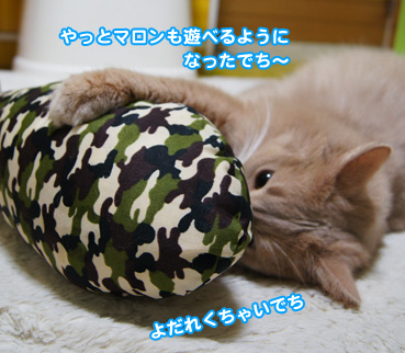kika0521.jpg