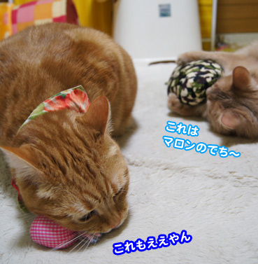 kika0528.jpg