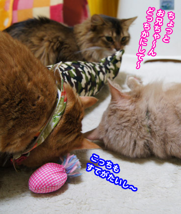 kika0534.jpg