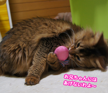 kika0557.jpg