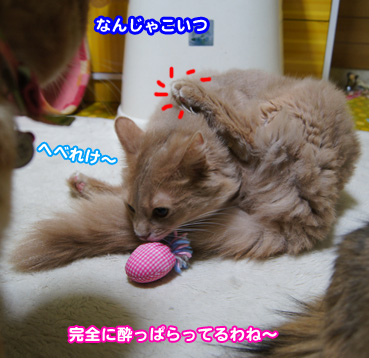 kika0601.jpg