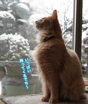 yuki0801.jpg