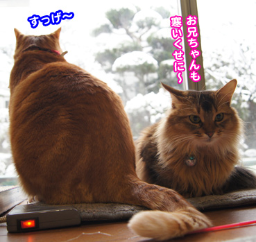 yuki0818.jpg