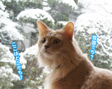 yuki0861.jpg