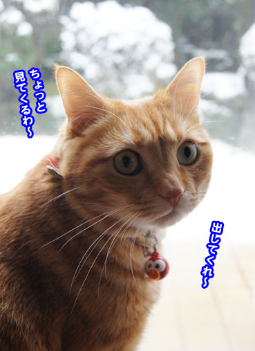 yuki0876.jpg