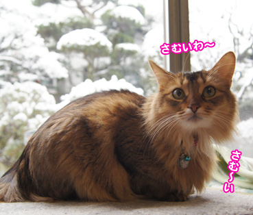 yuki0906.jpg