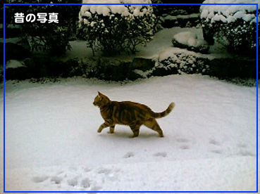 051222_1050~01001.jpg