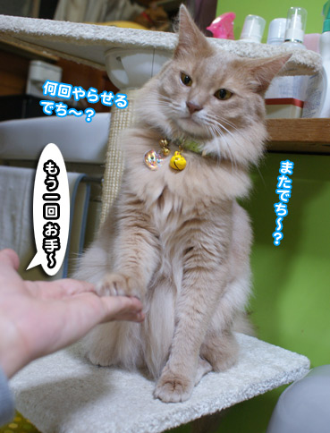 ote9880.jpg