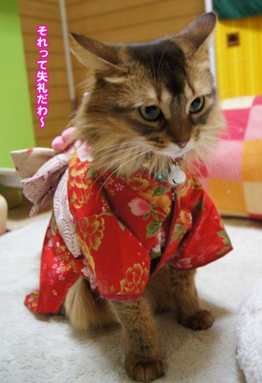 hina1300.jpg