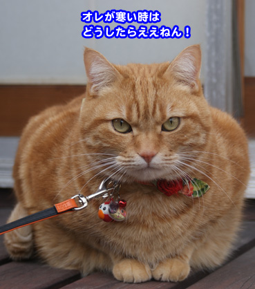 kaze2743.jpg