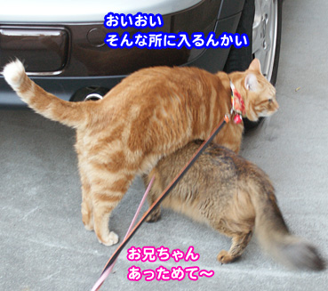 kaze5129.jpg
