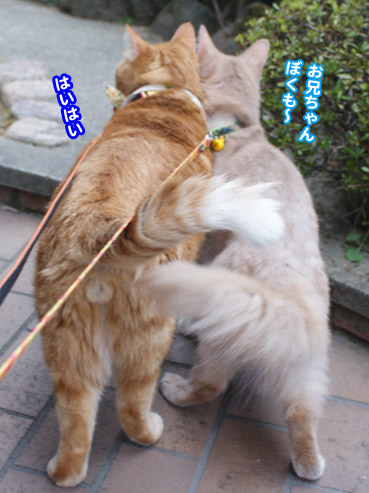 kaze6153.jpg