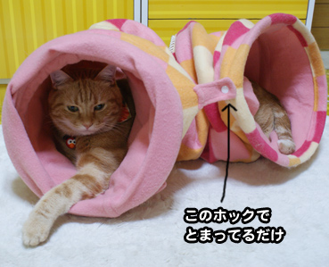 nobasu0367.jpg