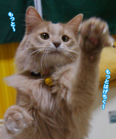 jump3161.jpg