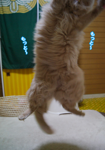 jump3164.jpg