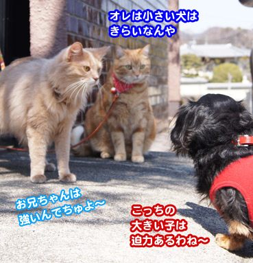 iinu4074.jpg