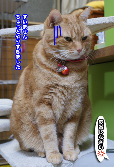 kega0348.jpg