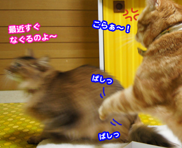 kega0366.jpg
