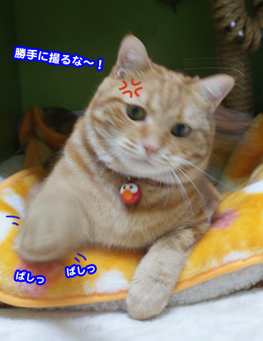 kega0420.jpg