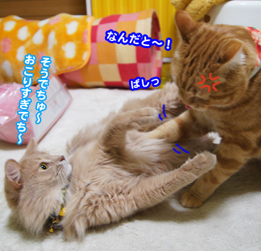 kega0619.jpg