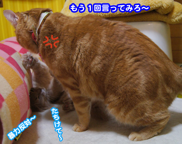 kega2848.jpg