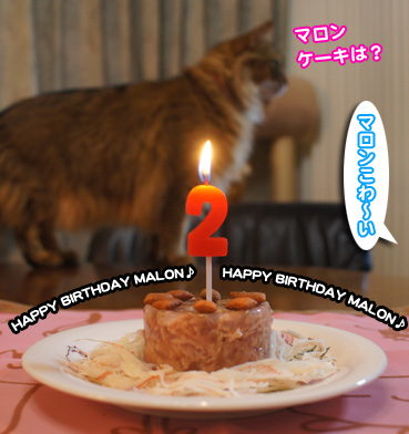 malon7161.jpg