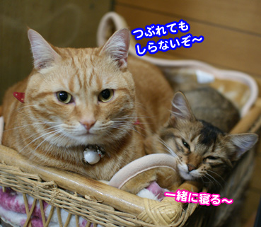 birth02361.jpg