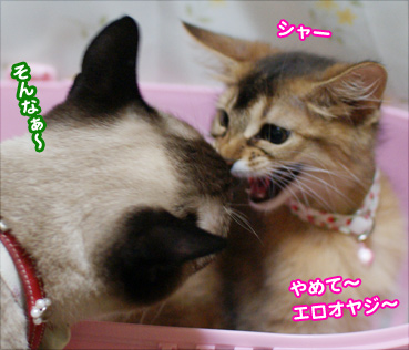 birth07008.jpg