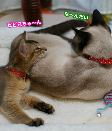 birth07813.jpg