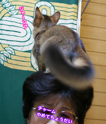 debi00769.jpg