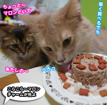 cake7810.jpg
